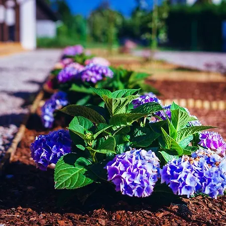 Wiatr I Woda Mikolajki (Mragowo)